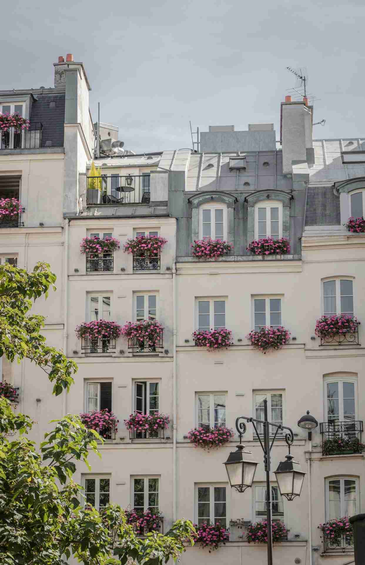 Paris in March 2026: What to See & Do?